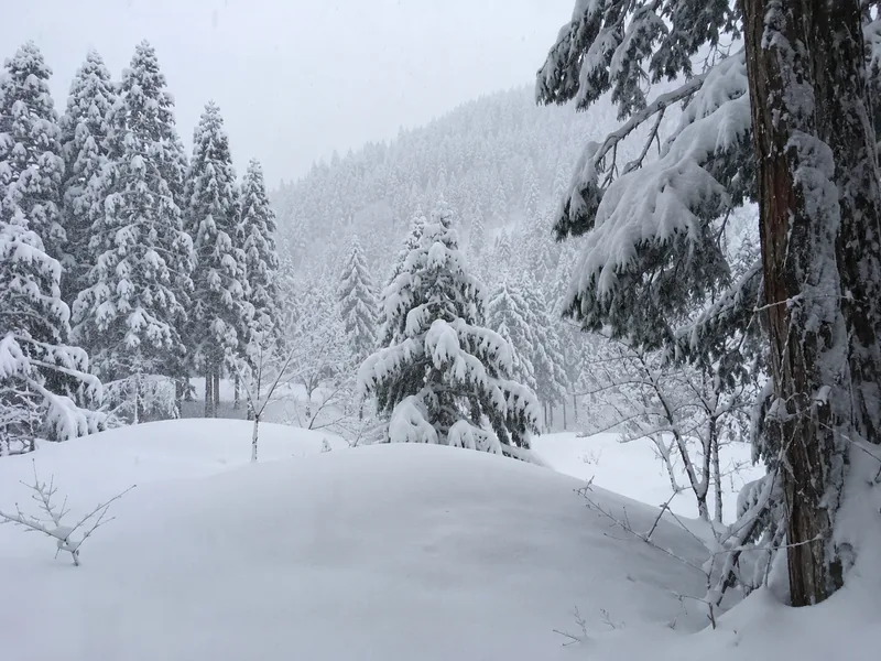Deep snow around the park in midwinter